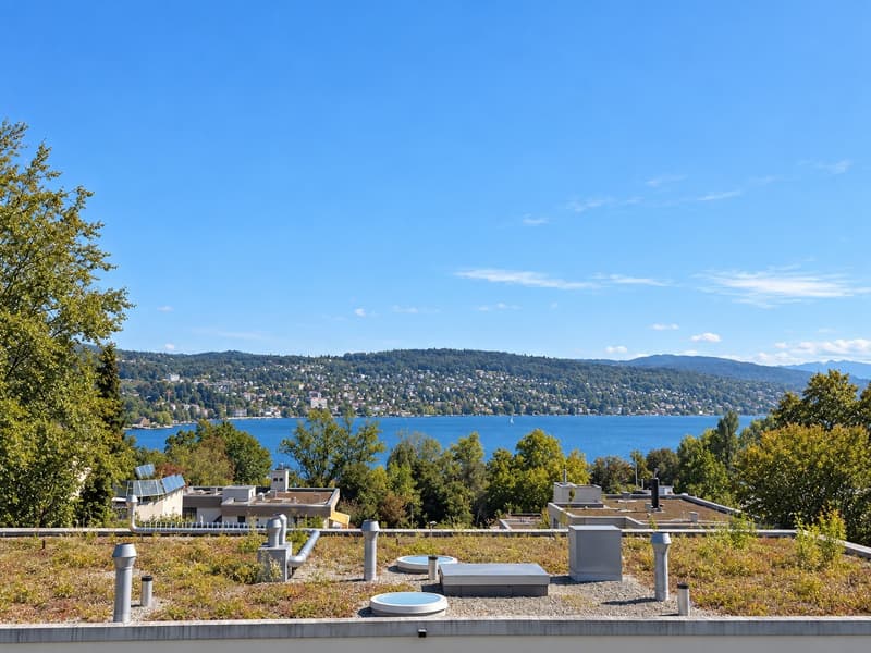 Apartment with Lake View Terrace (8)