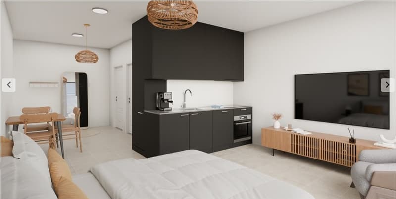 1.5 Zimmerwohnung Attika mit Terrasse/Aussicht (3)