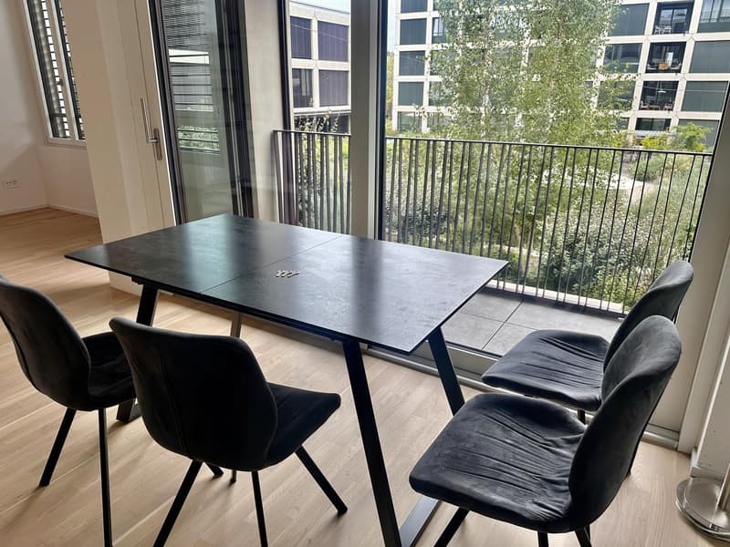 Modern 2.5-room apartment in Muttenz temporary sublet DecFeb (5)