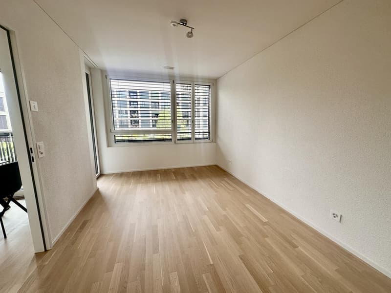 Modern 2.5-room apartment in Muttenz temporary sublet DecFeb (4)