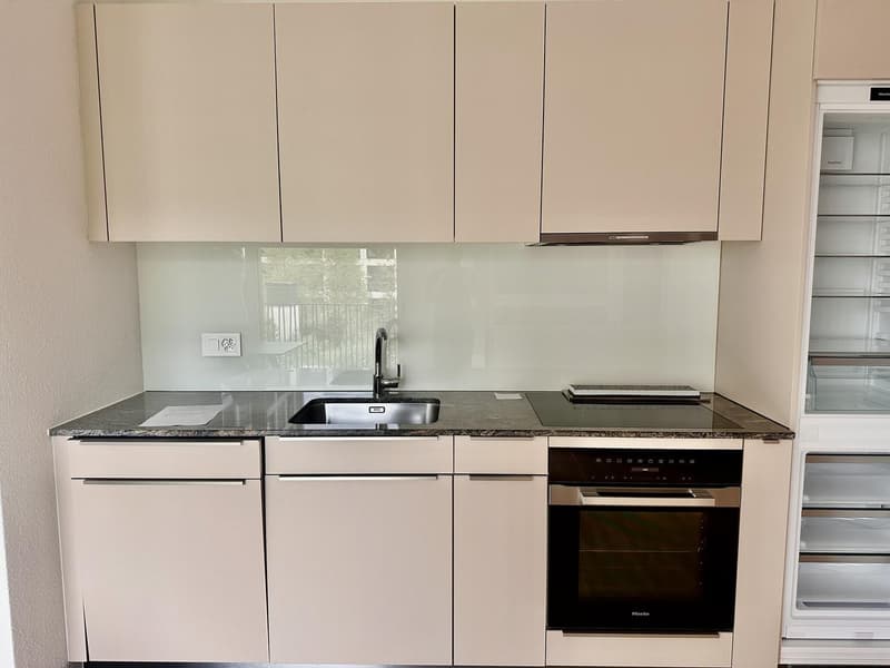 Modern 2.5-room apartment in Muttenz temporary sublet DecFeb (11)