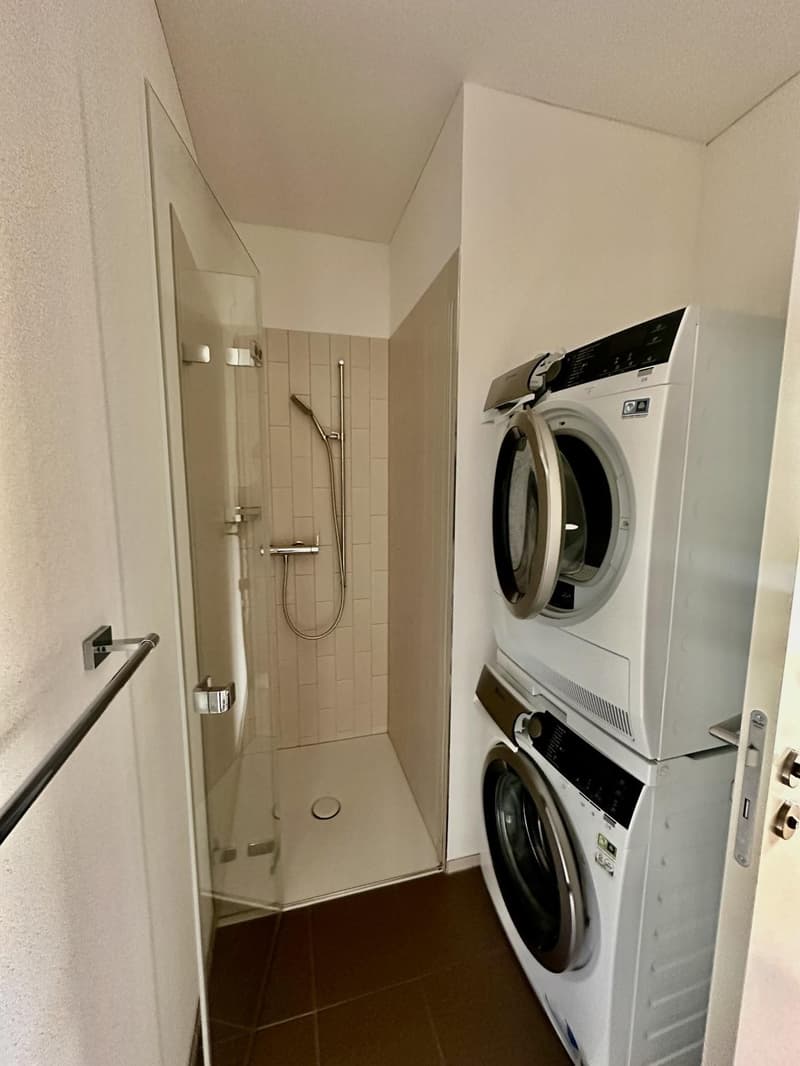 Modern 2.5-room apartment in Muttenz temporary sublet DecFeb (12)