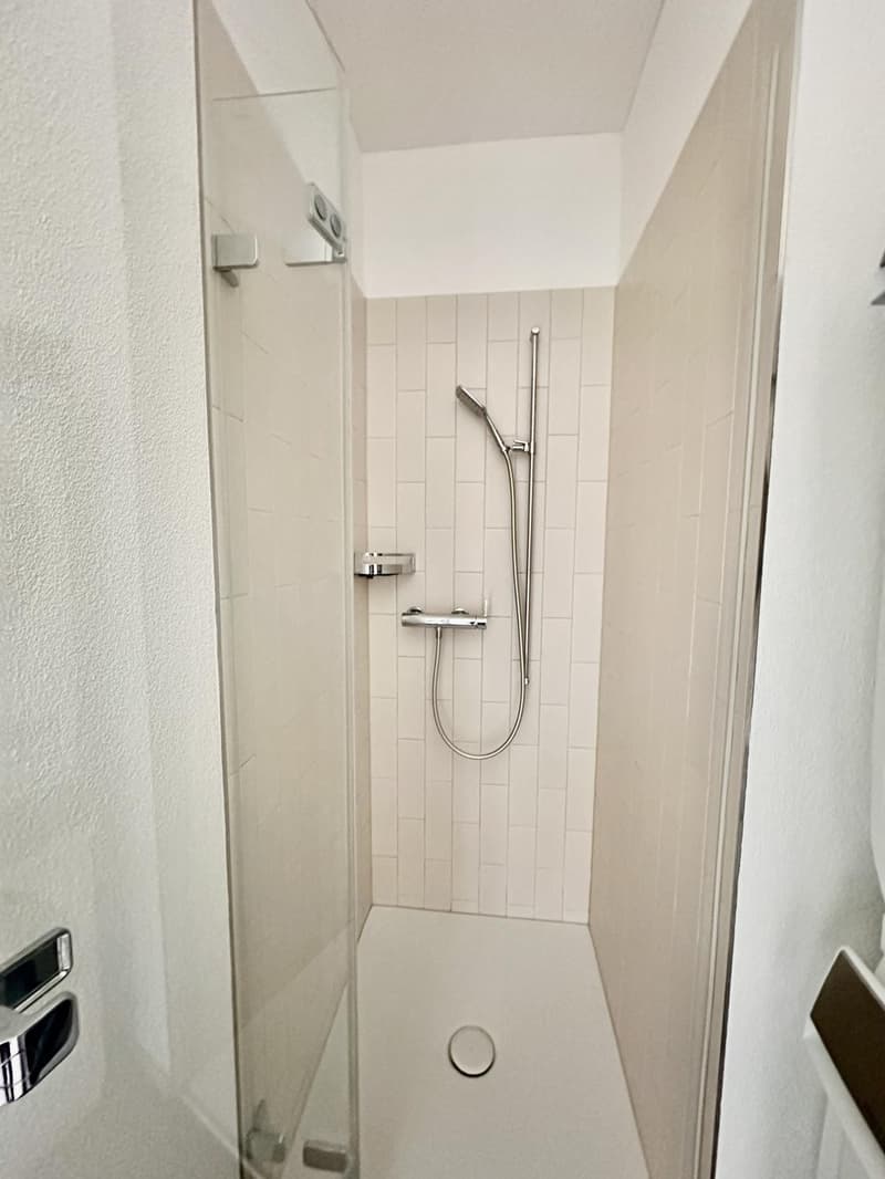 Modern 2.5-room apartment in Muttenz temporary sublet DecFeb (10)