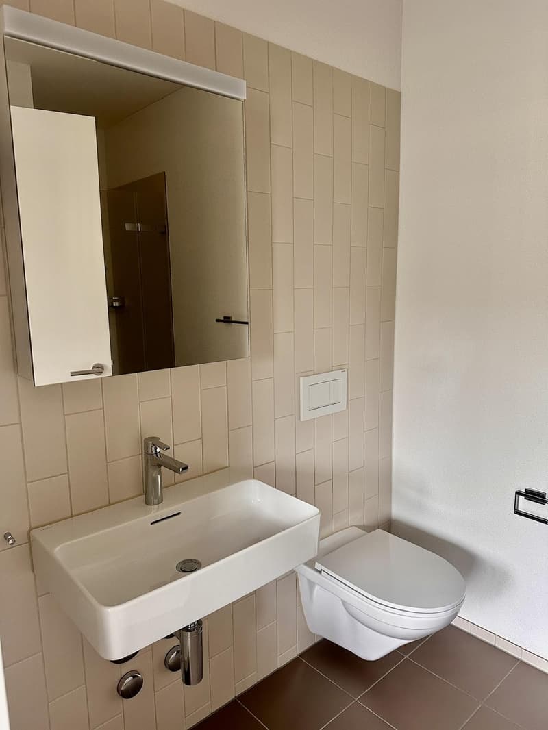 Modern 2.5-room apartment in Muttenz temporary sublet DecFeb (3)