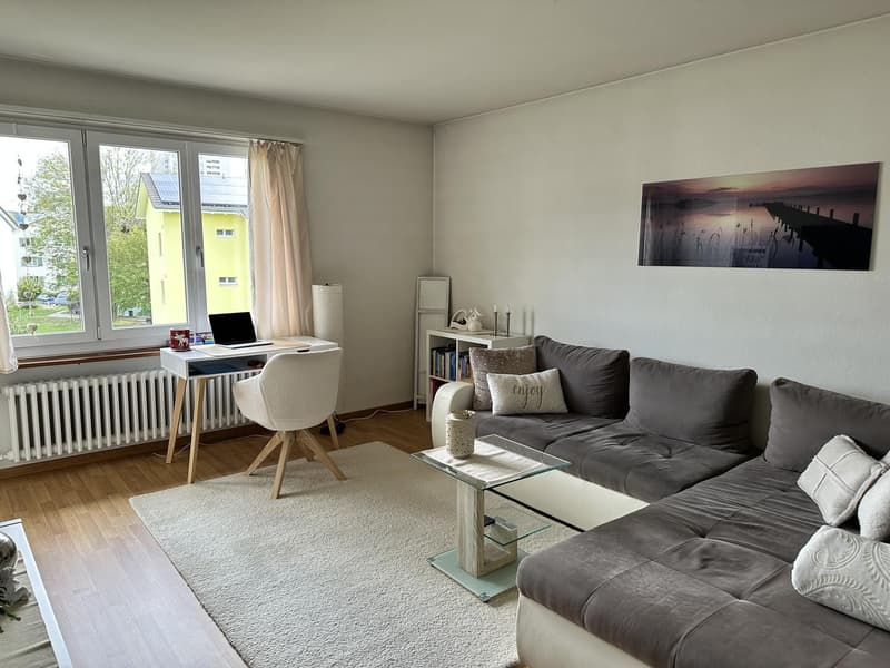 Helle, gemütliche Wohnung im Herzen von Wettingen mit Blick ins Grüne (1)
