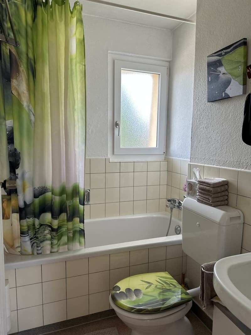 Helle, gemütliche Wohnung im Herzen von Wettingen mit Blick ins Grüne (5)