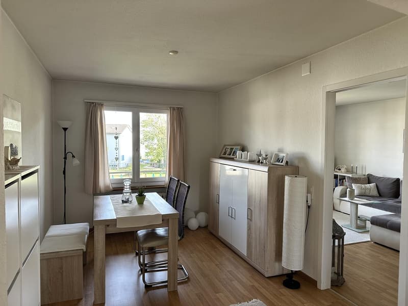 Helle, gemütliche Wohnung im Herzen von Wettingen mit Blick ins Grüne (2)