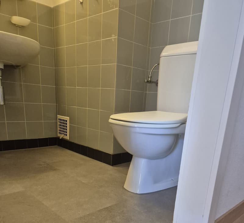 Erdgeschosswohnung mit Sitzplatz (inkl. EHP) Hintere Schosshalde, Bern (8)