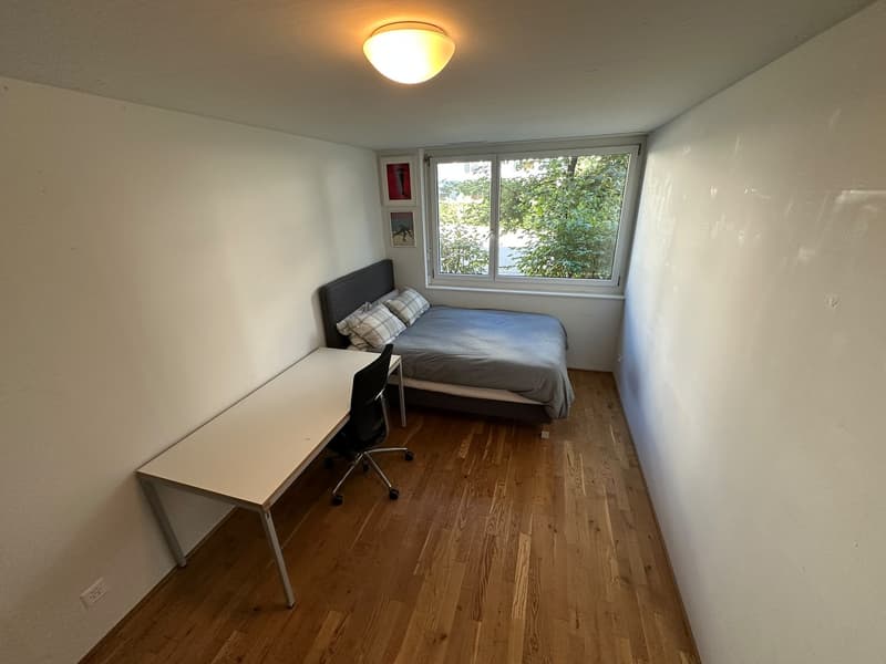 Room in WOKO shared flat Bahnhaldenstrasse 9, Zürich (1)