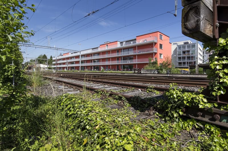 Room in WOKO shared flat Bahnhaldenstrasse 9, Zürich (2)