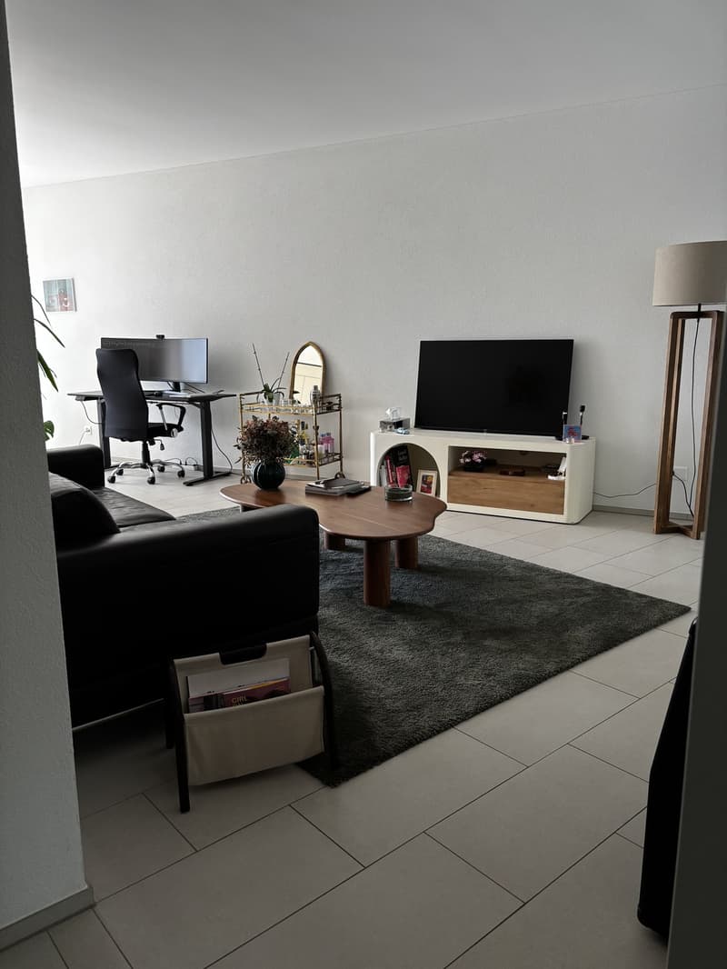 Neubau 2.5-Zi-Wohnung in Horw (5)