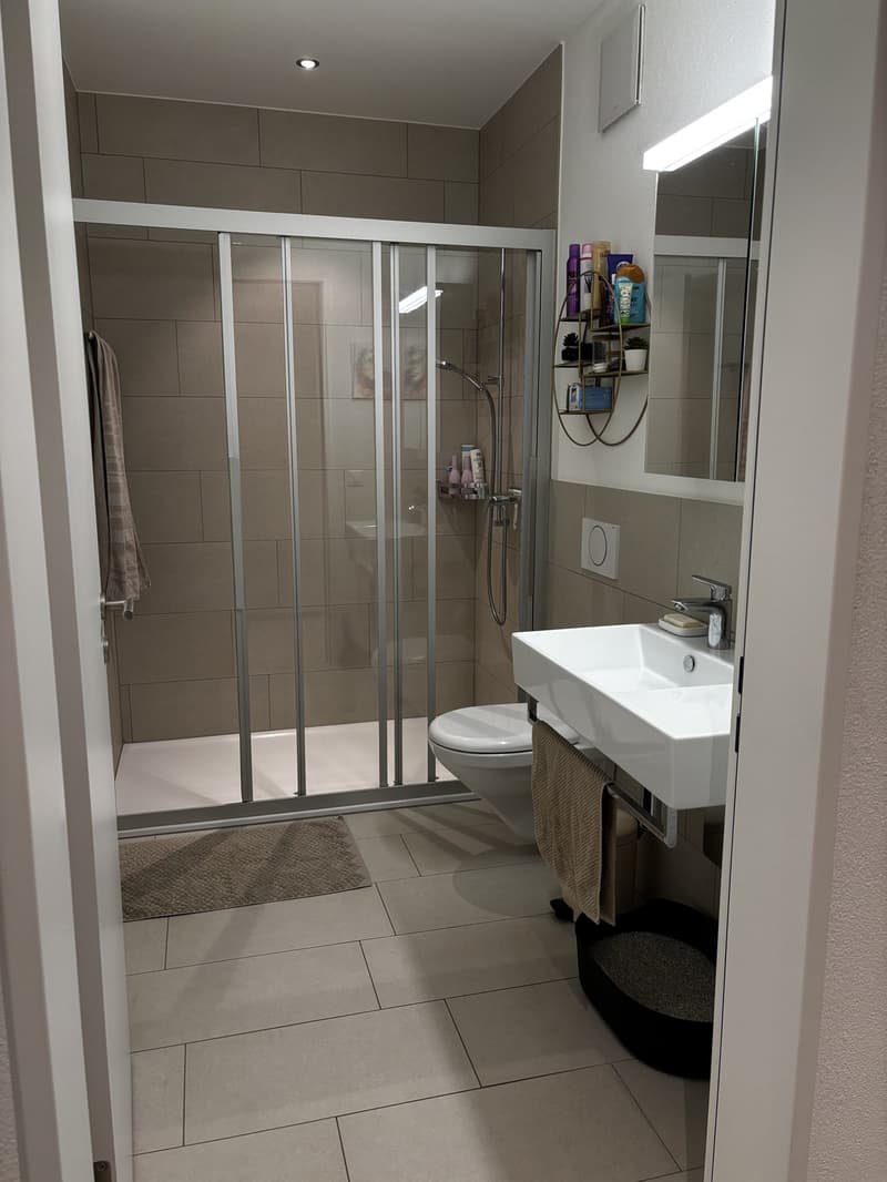 Neubau 2.5-Zi-Wohnung in Horw (4)