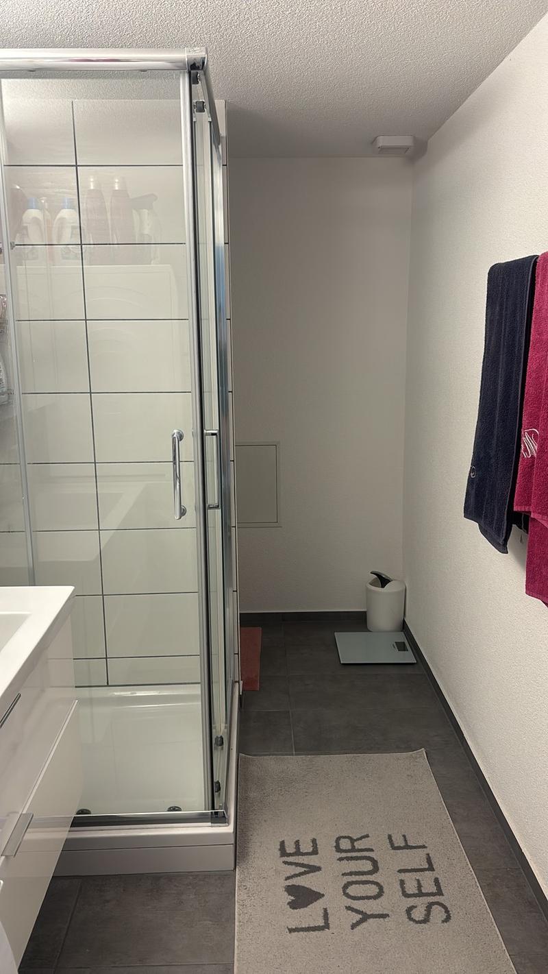 Nachmieter gesucht  offene Loftwohnung in 4932 Gutenburg (10)