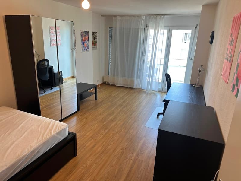 WG-Zimmer in 3-Zimmer-Wohnung in Seebach (ab 1. Oktober 2026) (2)