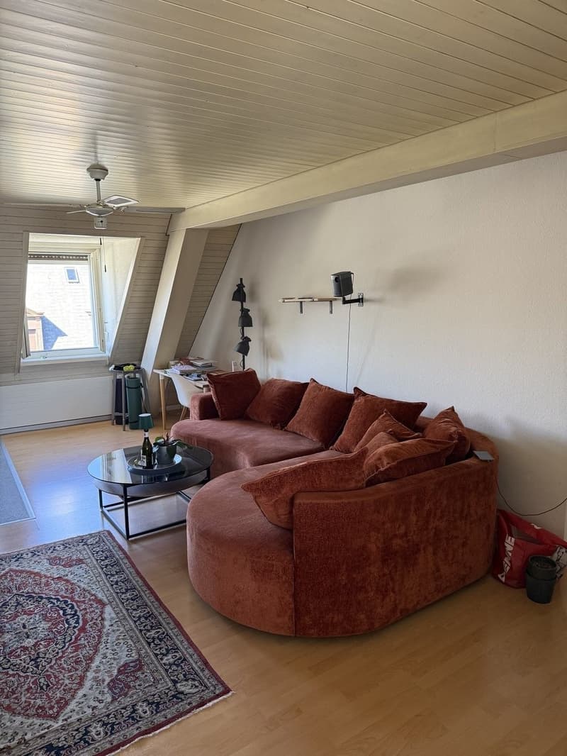 Gemütliche 2,5 Zimmer Wohnung am klusplatz (5)