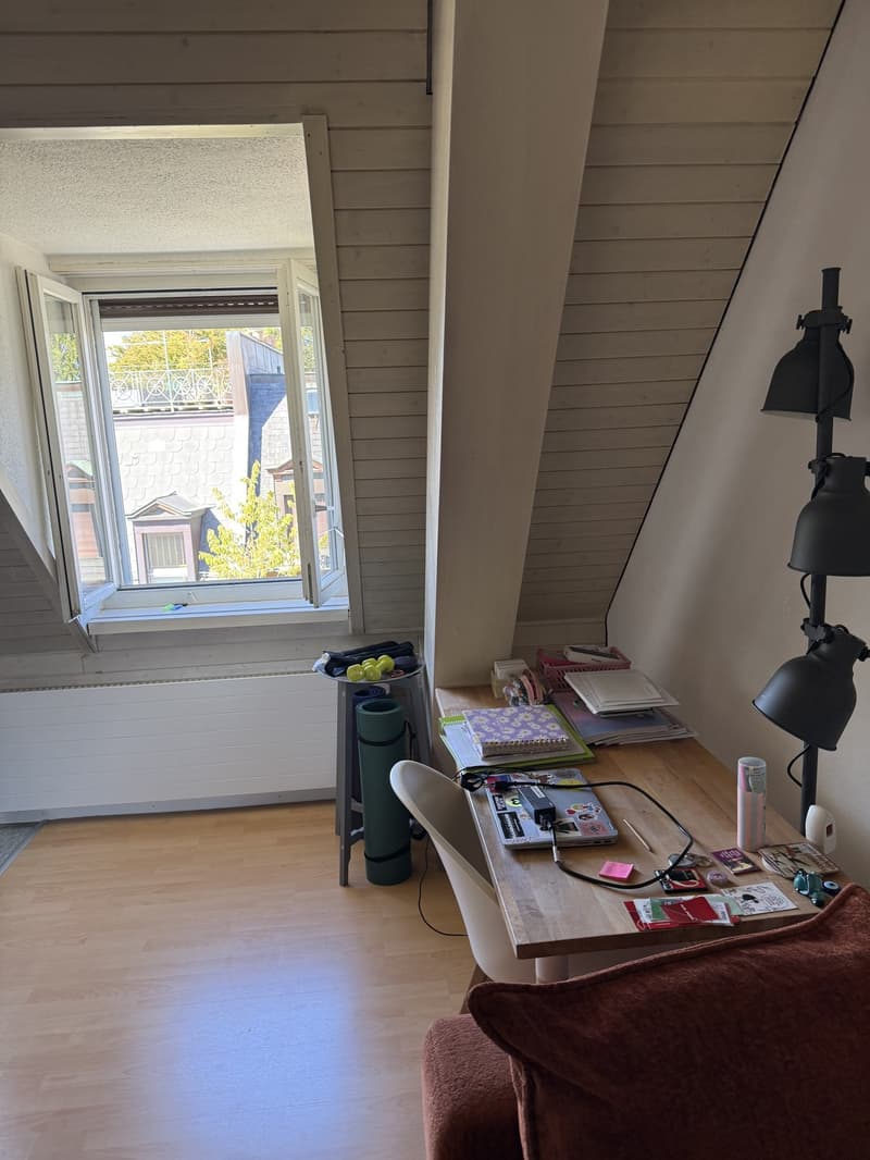 Gemütliche 2,5 Zimmer Wohnung am klusplatz (7)