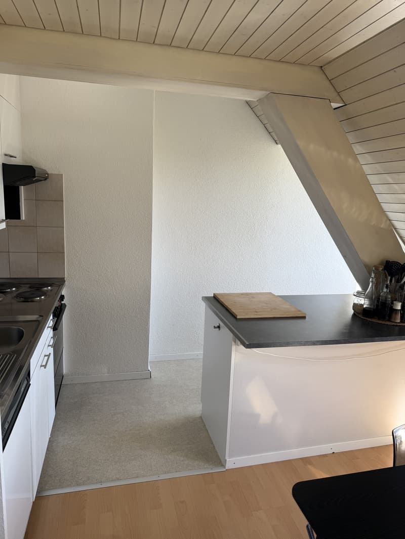 Gemütliche 2,5 Zimmer Wohnung am klusplatz (8)
