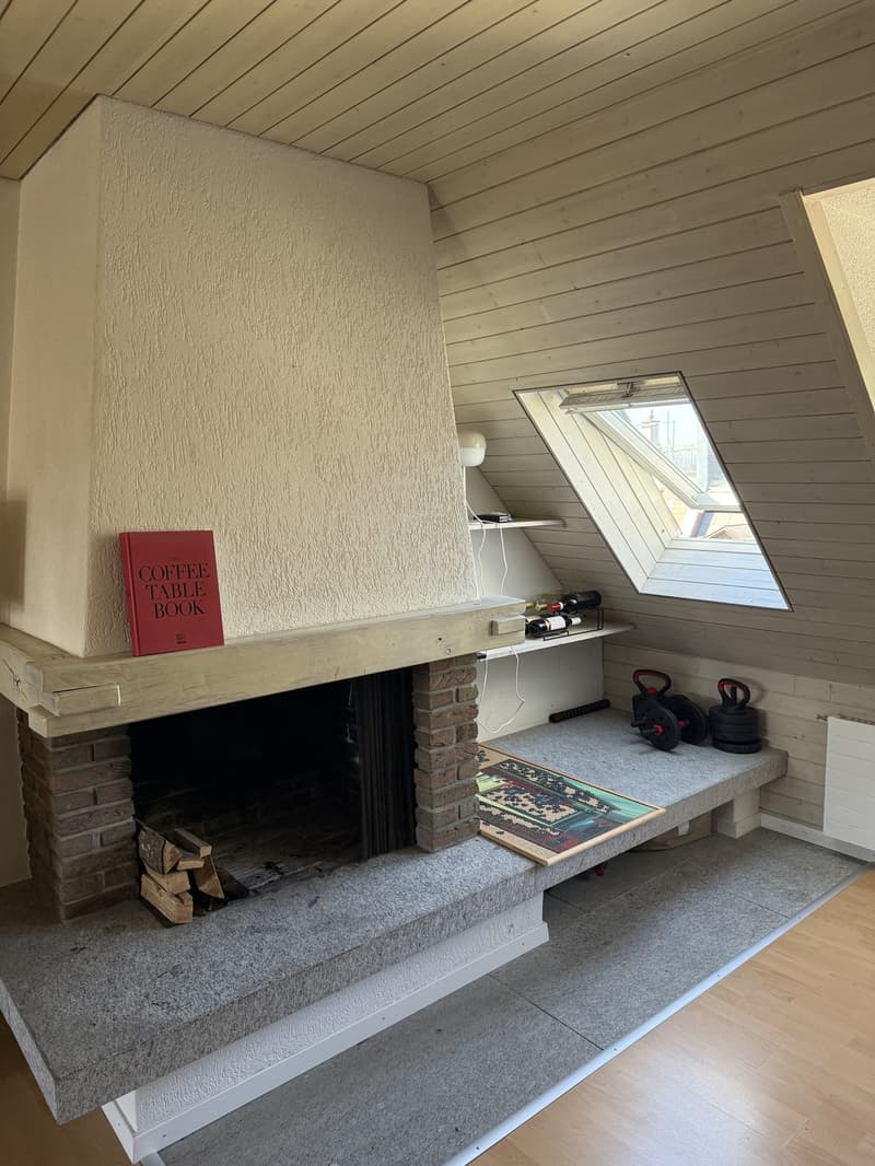 Gemütliche 2,5 Zimmer Wohnung am klusplatz (4)