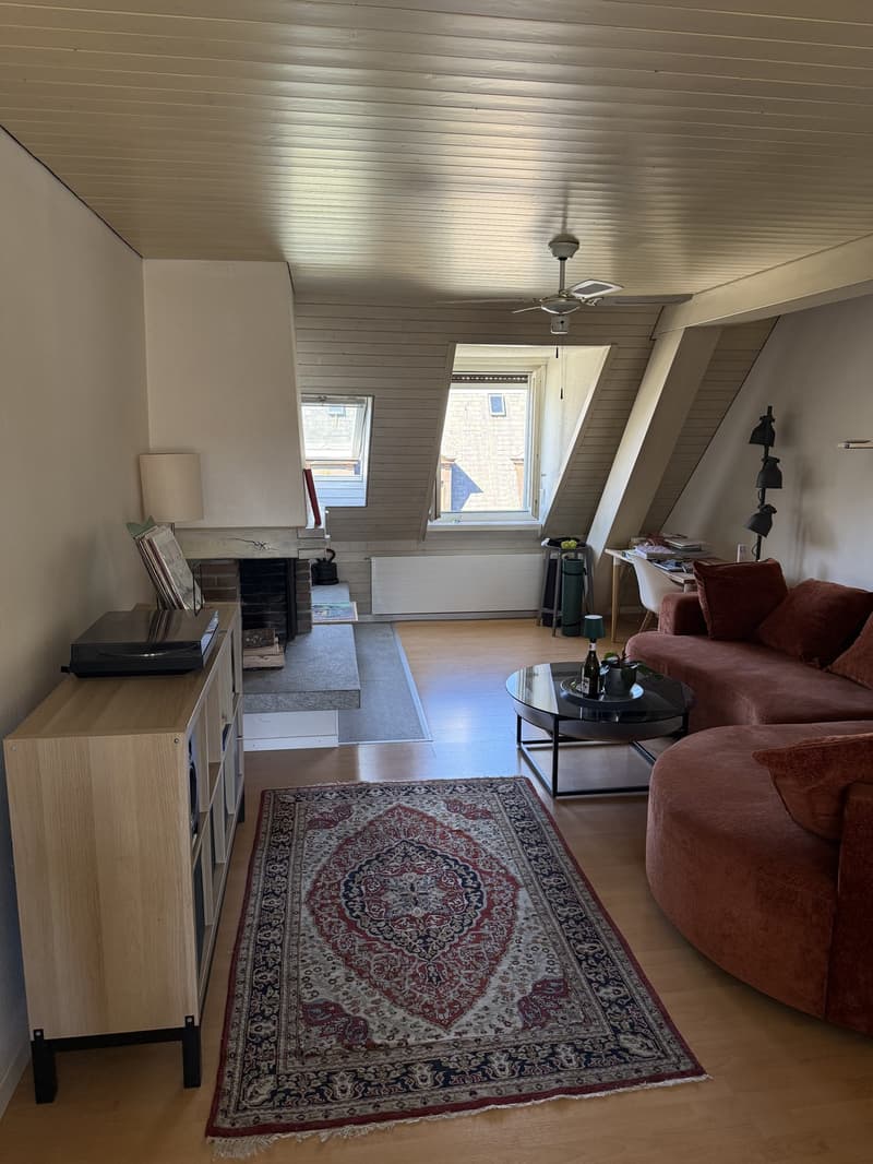 Gemütliche 2,5 Zimmer Wohnung am klusplatz (6)