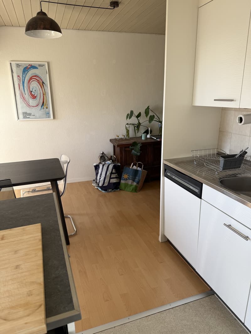 Gemütliche 2,5 Zimmer Wohnung am klusplatz (9)