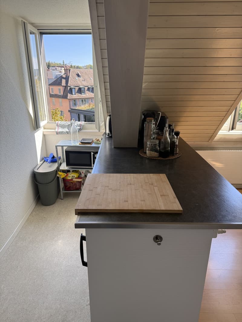Gemütliche 2,5 Zimmer Wohnung am klusplatz (2)