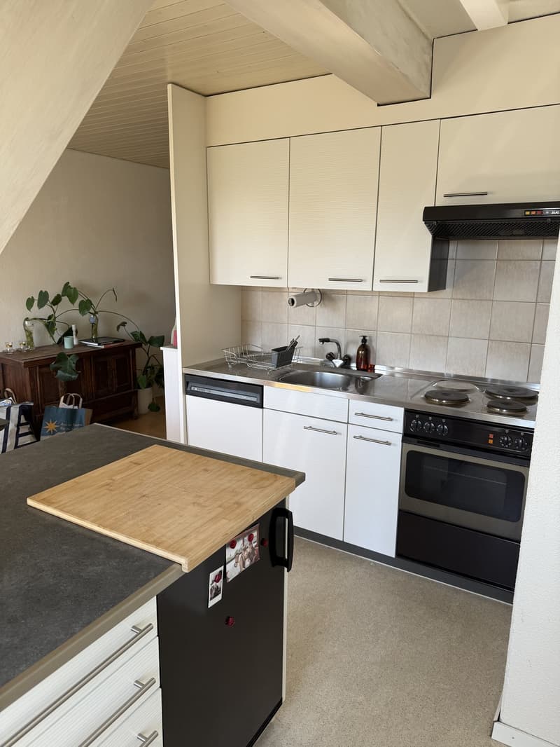 Gemütliche 2,5 Zimmer Wohnung am klusplatz (3)