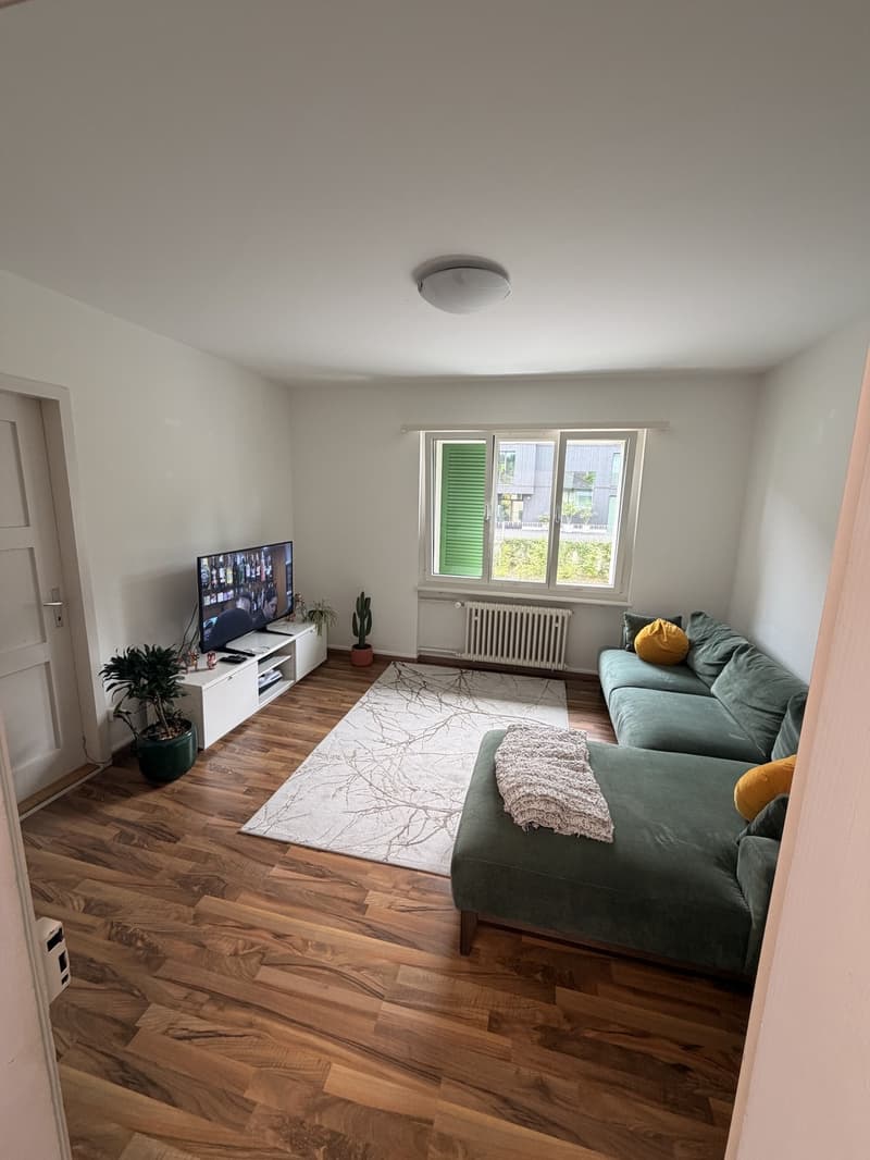 SHORT TERM Roommate wanted in Ebikon (near Lucerne)! (1)