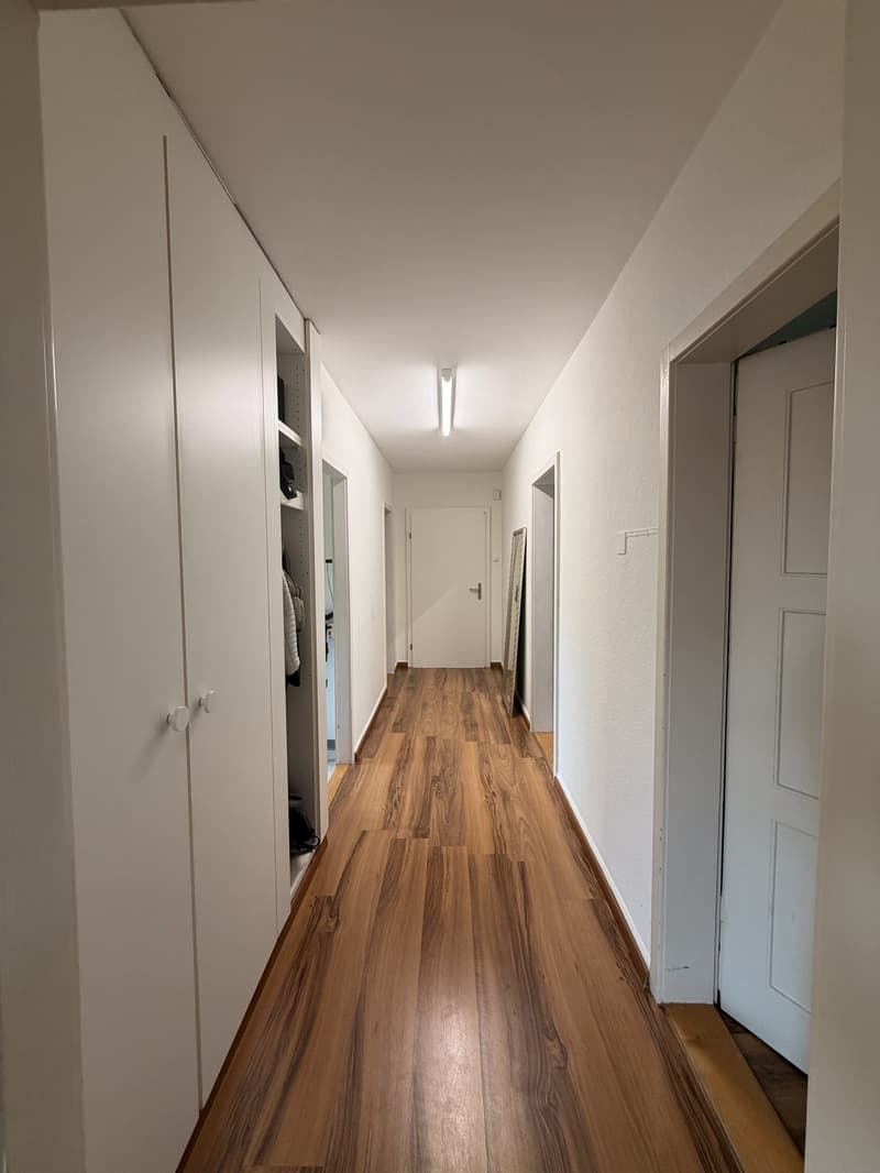 SHORT TERM Roommate wanted in Ebikon (near Lucerne)! (3)