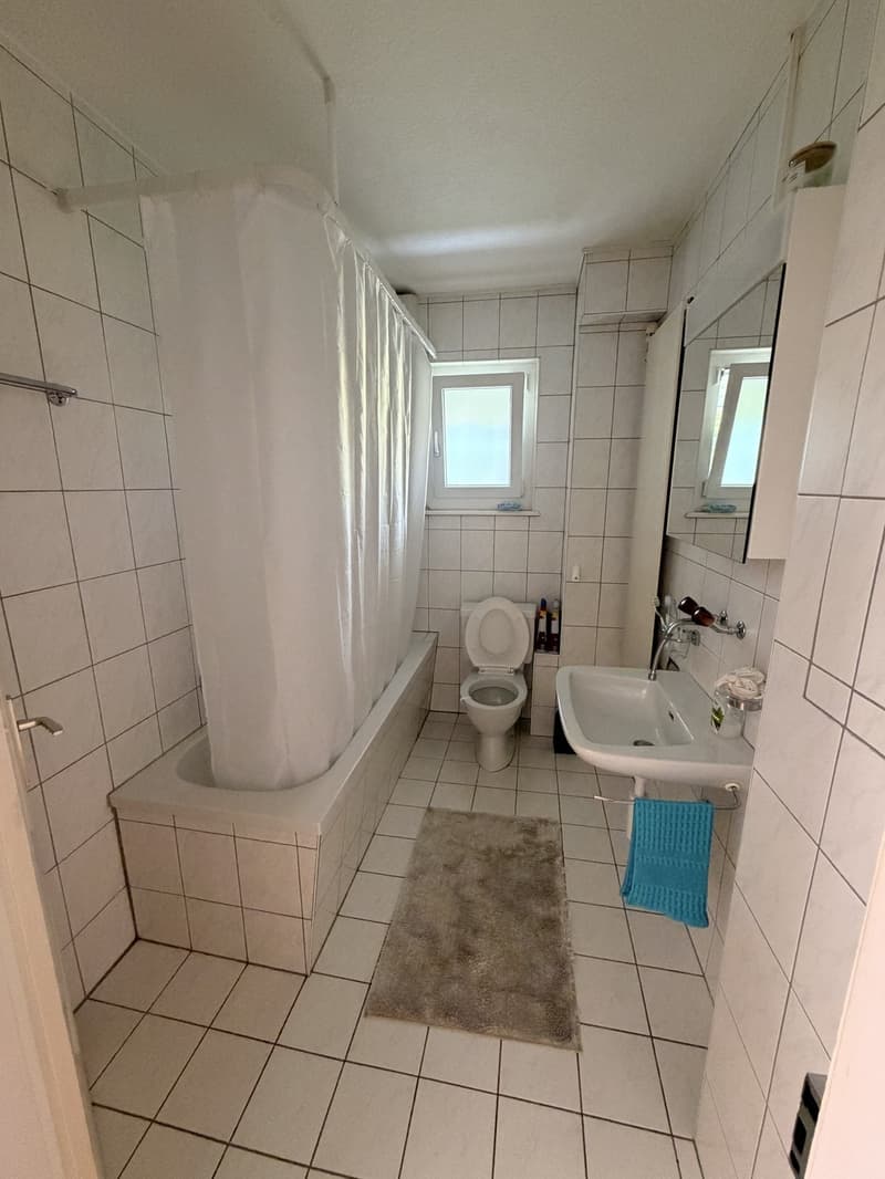 SHORT TERM Roommate wanted in Ebikon (near Lucerne)! (5)