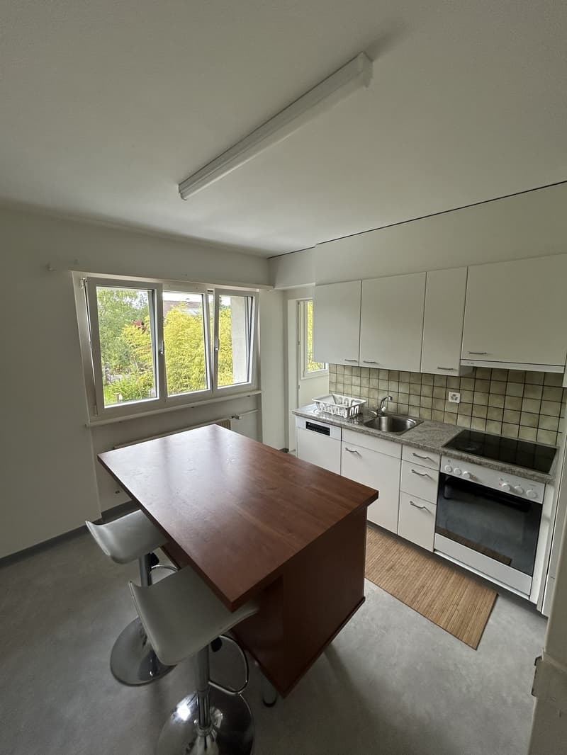 SHORT TERM Roommate wanted in Ebikon (near Lucerne)! (4)