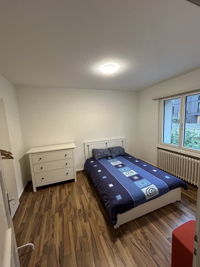 SHORT TERM Roommate wanted in Ebikon (near Lucerne)! (2)
