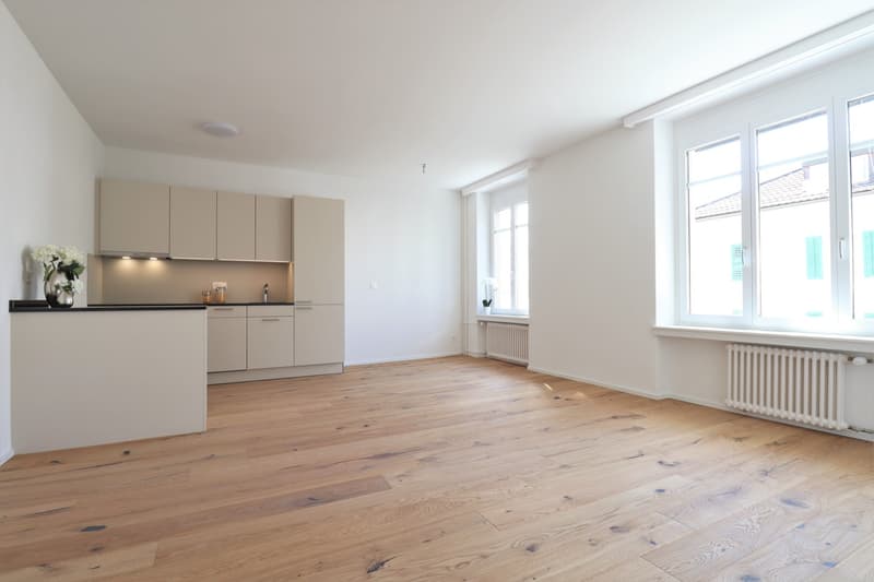 Helle 2.5-Zimmer-Wohnung mit eigener Waschmaschine, gegenüber Migros St. Fiden (1)
