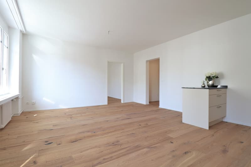 Helle 2.5-Zimmer-Wohnung mit eigener Waschmaschine, gegenüber Migros St. Fiden (3)