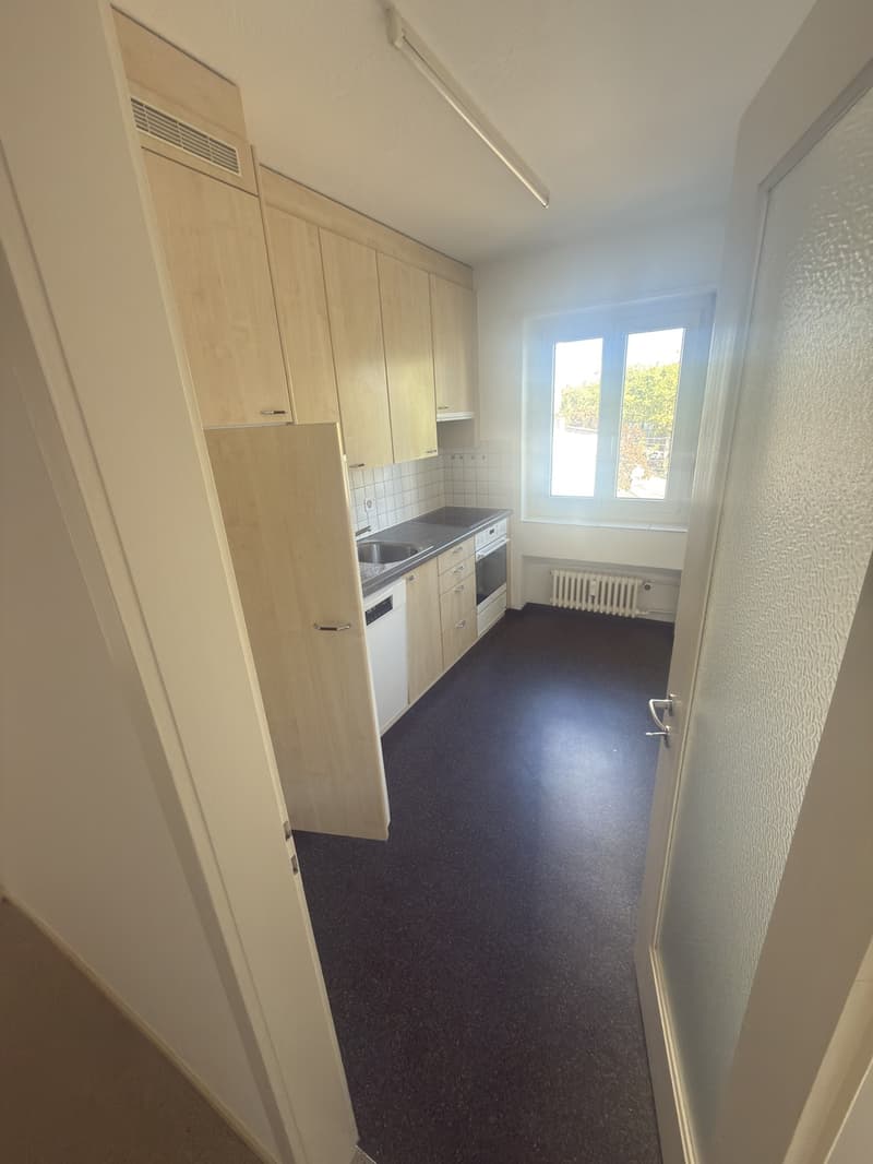 2 1/2 Zimmerwohnung (3)