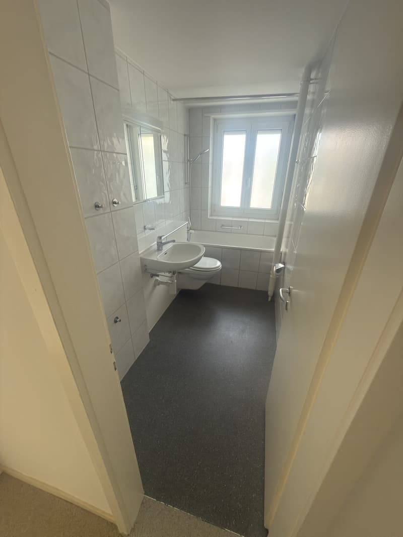 2 1/2 Zimmerwohnung (4)