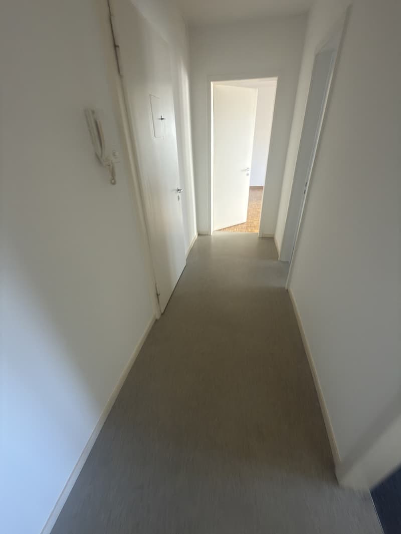 2 1/2 Zimmerwohnung (5)