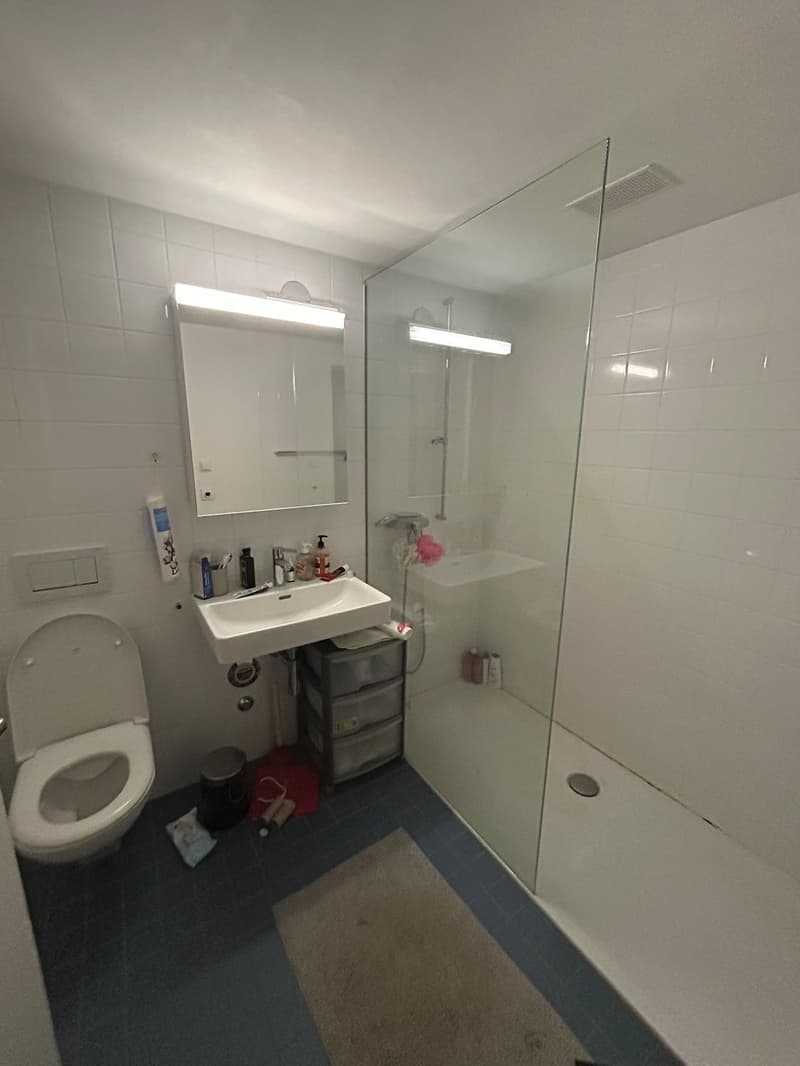 Room available inaspacious shared apartment Zürich Oerlikon (2)
