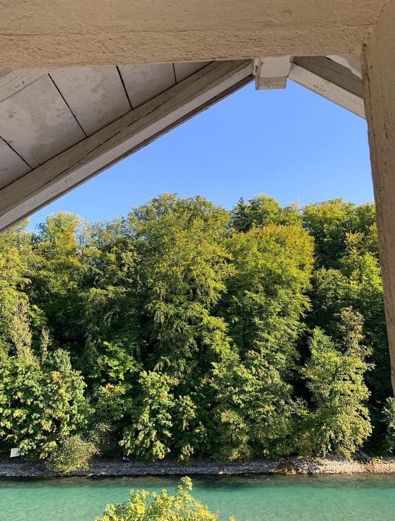 immer frei in traumhaft schöner Wohnung auf dem Inseli im Berner Mattequartier Beste Lage in Bern: Blick auf Aare, Wald & Altstadt (7)
