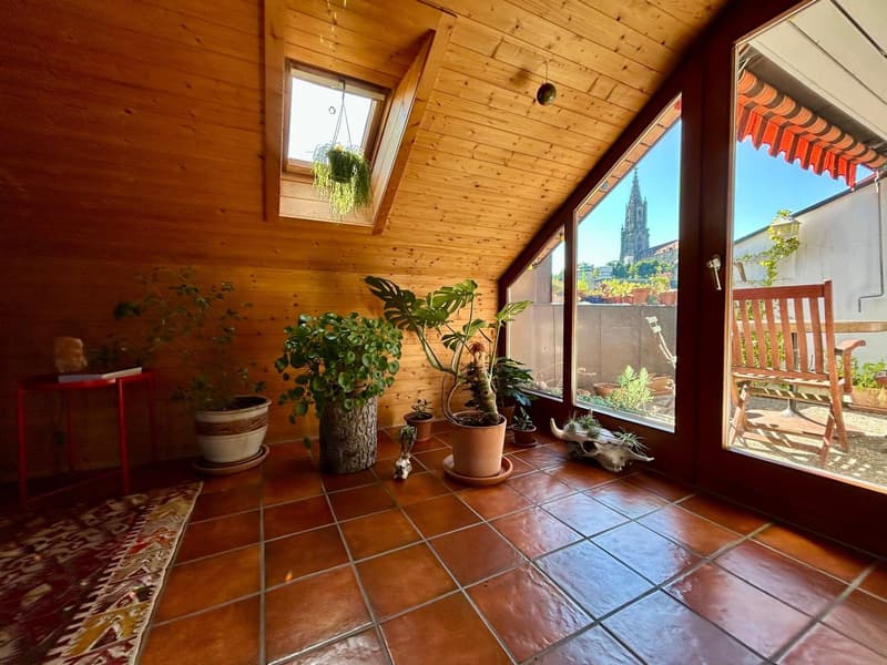 immer frei in traumhaft schöner Wohnung auf dem Inseli im Berner Mattequartier Beste Lage in Bern: Blick auf Aare, Wald & Altstadt (8)
