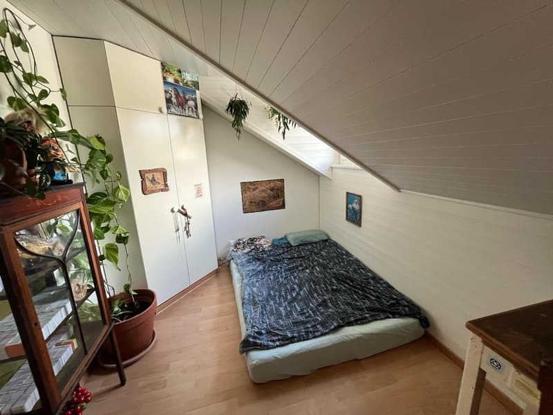 immer frei in traumhaft schöner Wohnung auf dem Inseli im Berner Mattequartier Beste Lage in Bern: Blick auf Aare, Wald & Altstadt (4)
