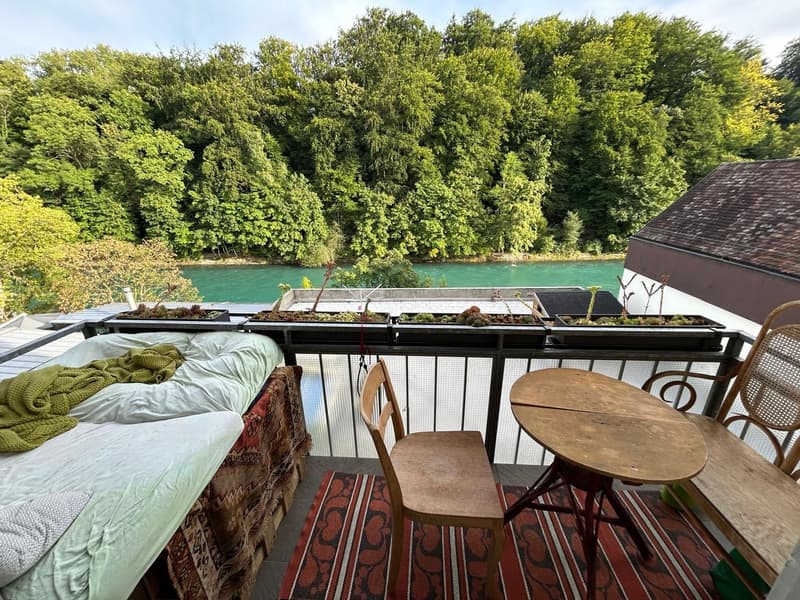 immer frei in traumhaft schöner Wohnung auf dem Inseli im Berner Mattequartier Beste Lage in Bern: Blick auf Aare, Wald & Altstadt (6)