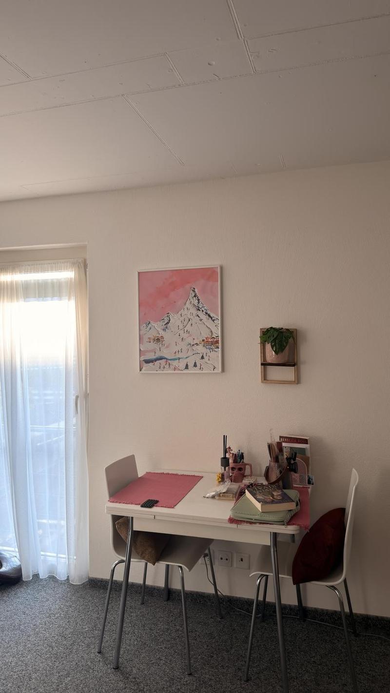Spacious studio apartment in Chur (1)