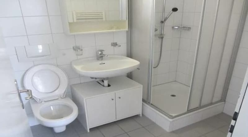 Spacious studio apartment in Chur (5)
