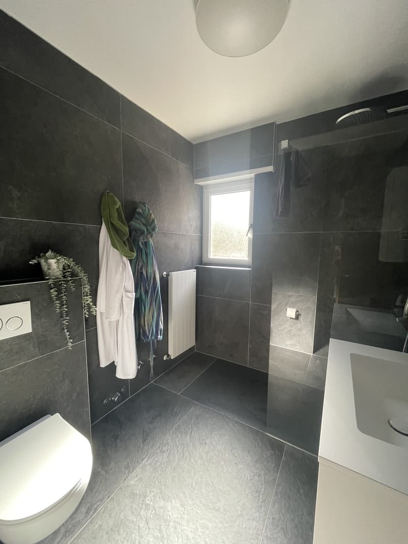 VISTA LAGO - Luminoso appartamento di 3.5 locali con vista lago a Massagno (6)
