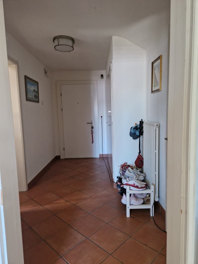 Wohnung Winterthur Wallrüti (10)