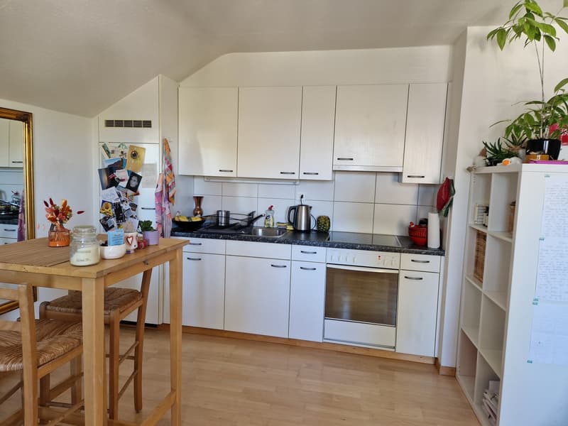 Wohnung Winterthur Wallrüti (7)