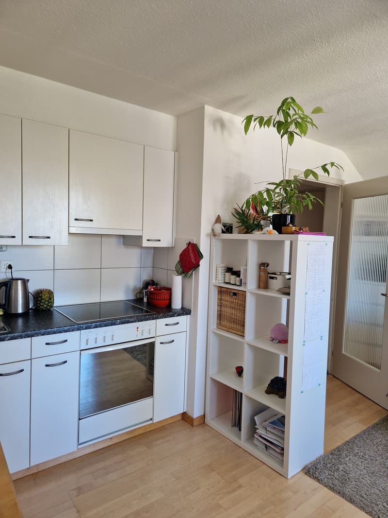 Wohnung Winterthur Wallrüti (6)