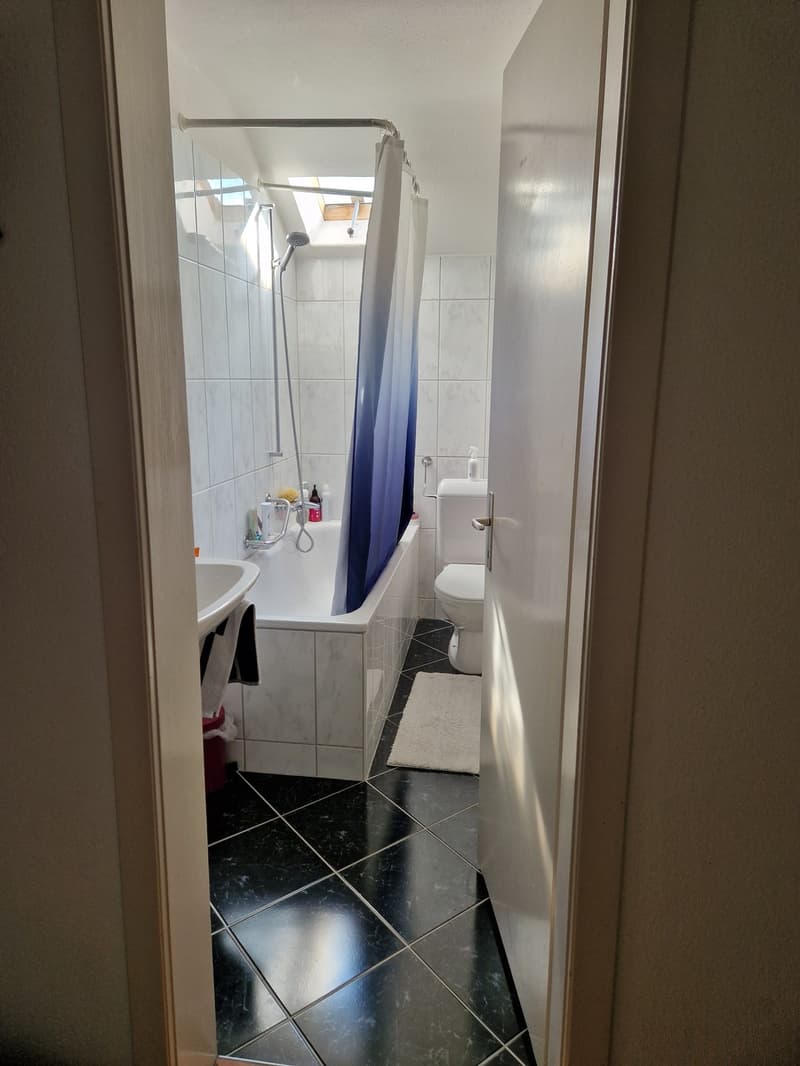Wohnung Winterthur Wallrüti (13)