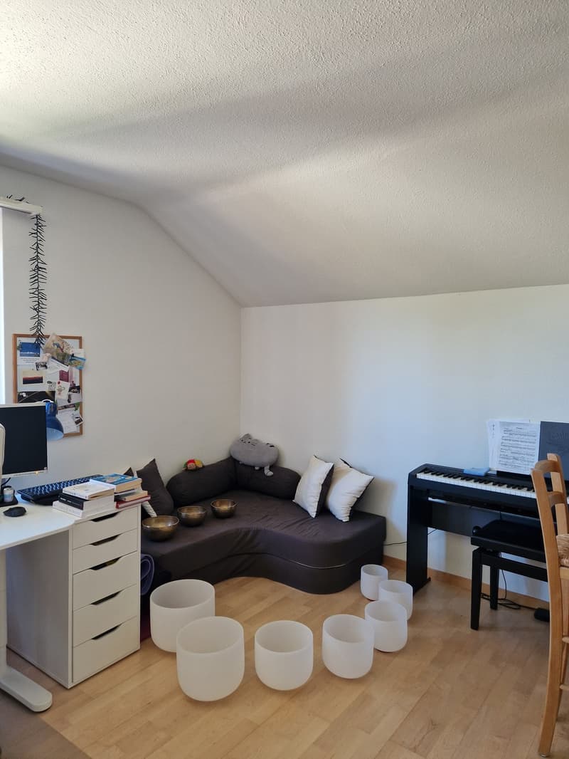 Wohnung Winterthur Wallrüti (8)