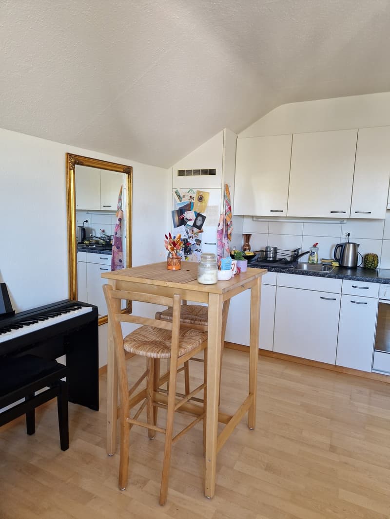 Wohnung Winterthur Wallrüti (5)